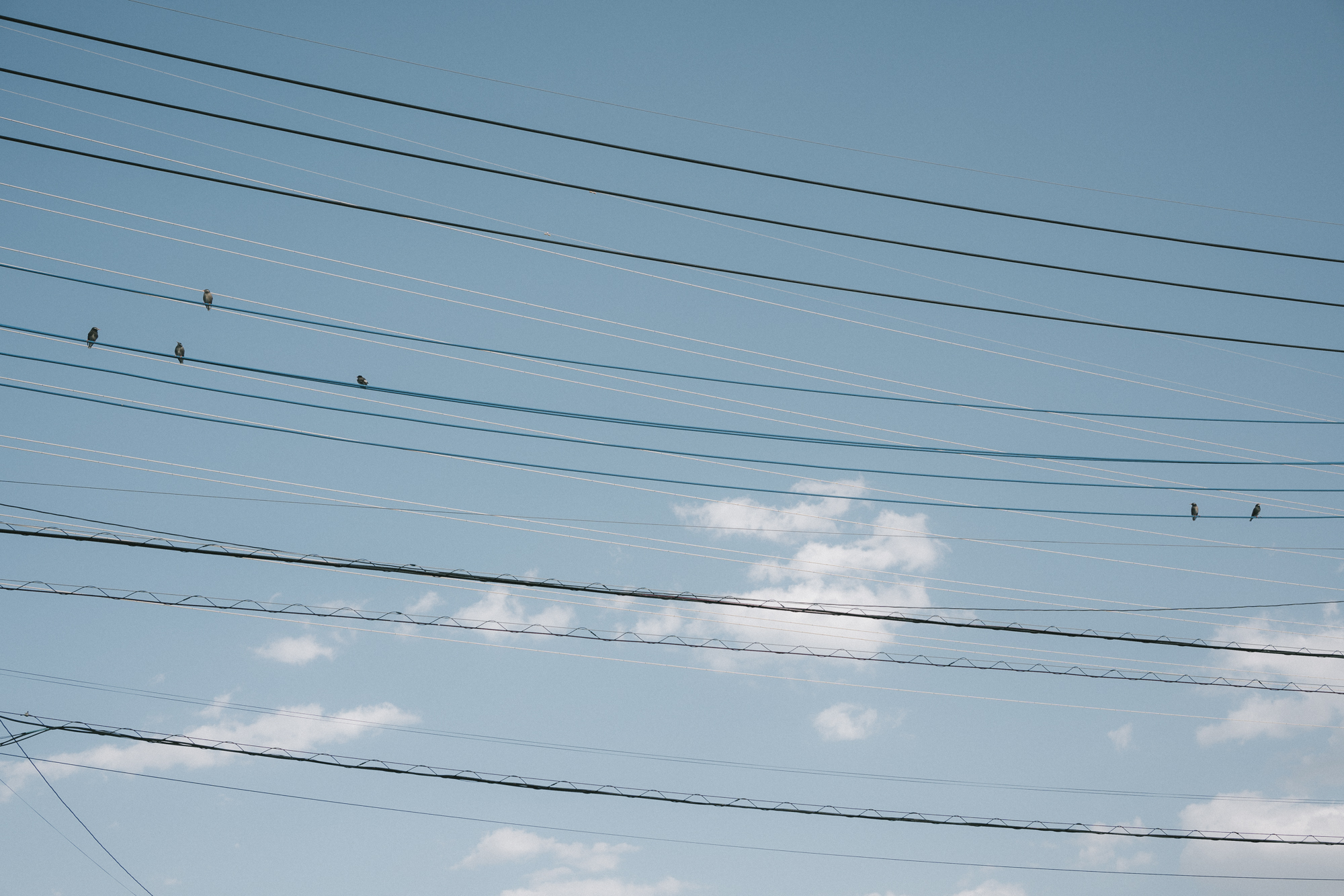 予約ページを一旦停止いたします